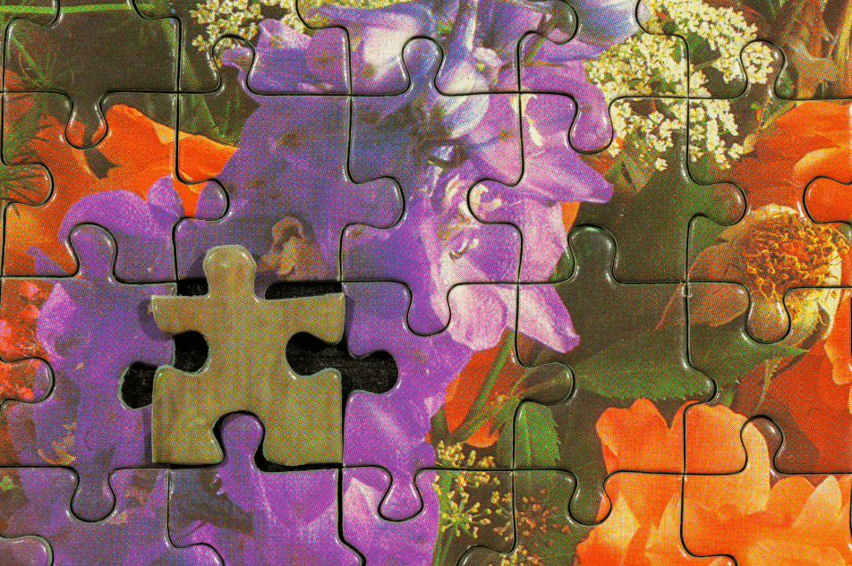 Capture-decran-2026-02-18-113609